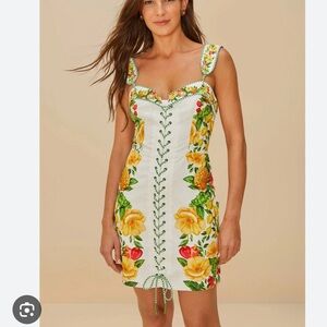 Farm Rio Picnic Flowers Mini Dress